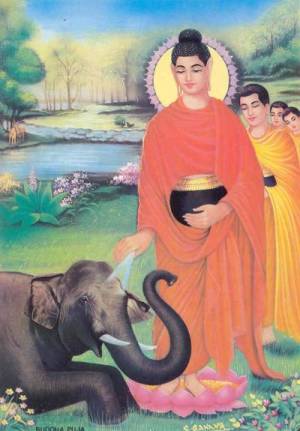 Lược Truyện về Đức Phật Thích Ca ra đời – Cực Hay - 7