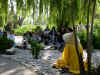 p5310008.jpg
