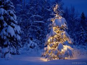 Christmas tree